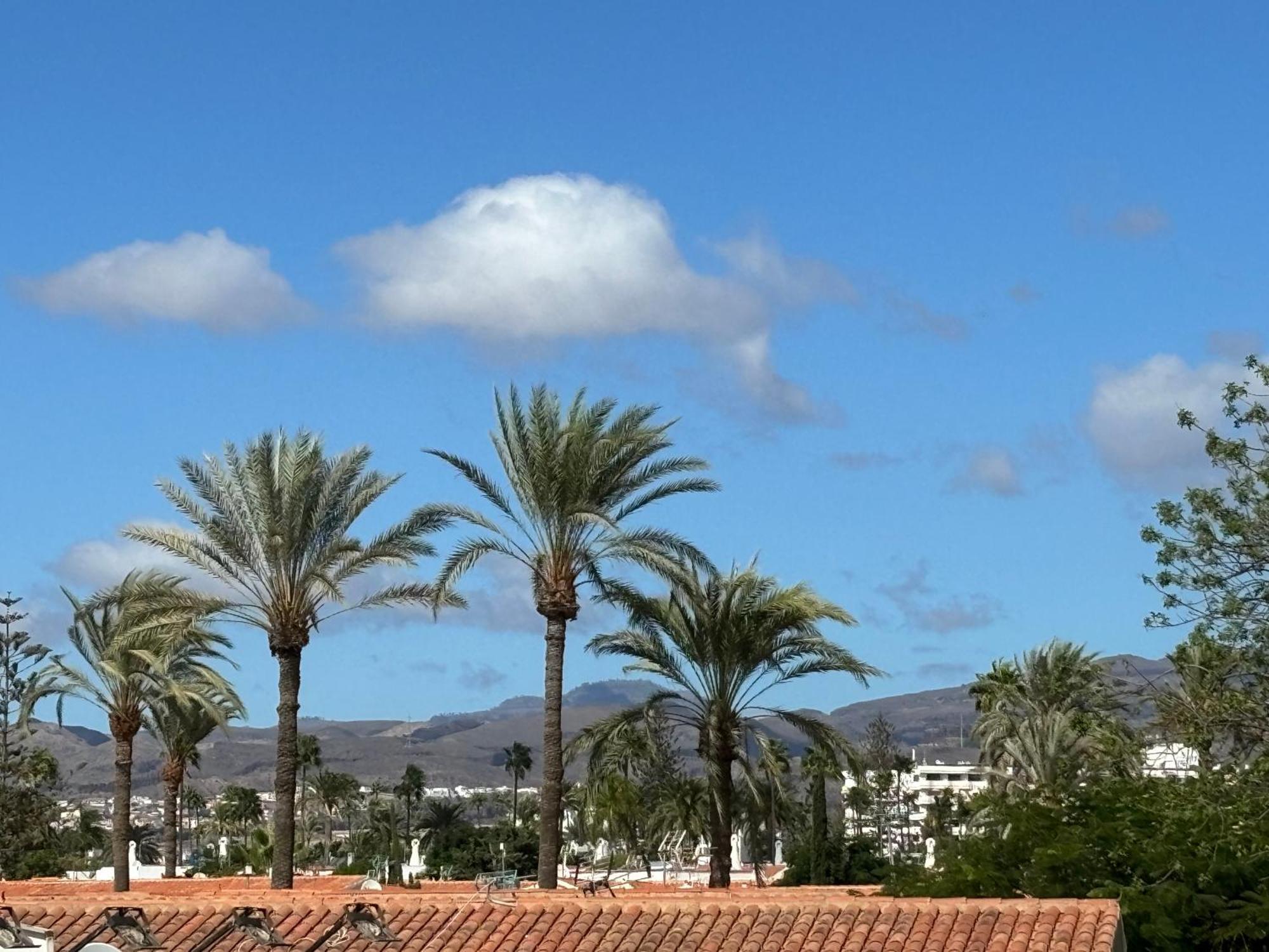 Loris Home Playa Ingles 50Mt From Yumbo By Luca Properties Gran Canaria San Bartolomé Exterior foto